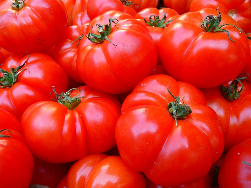 tomaten tipps